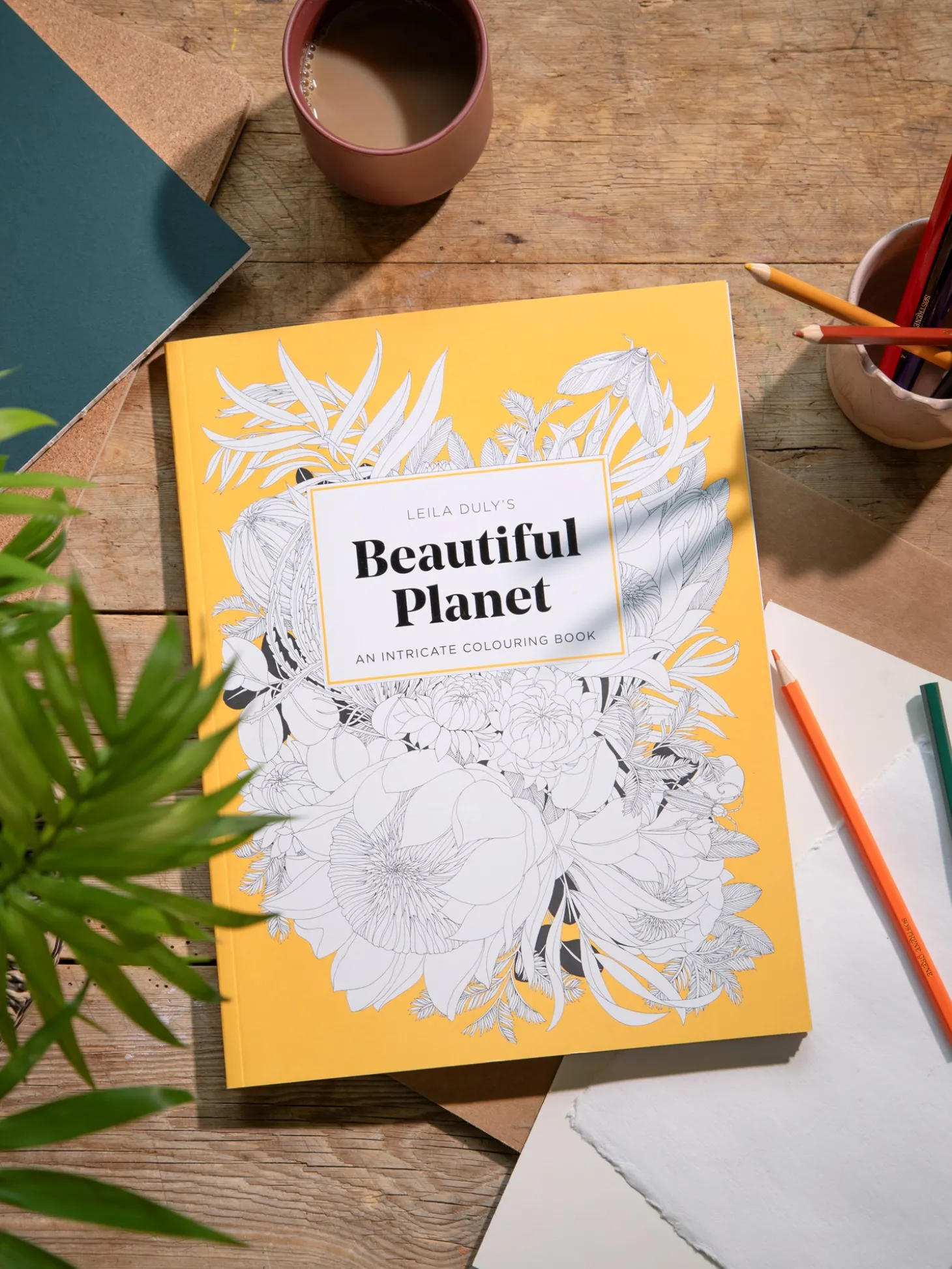 Beautiful Planet Colouring Book
