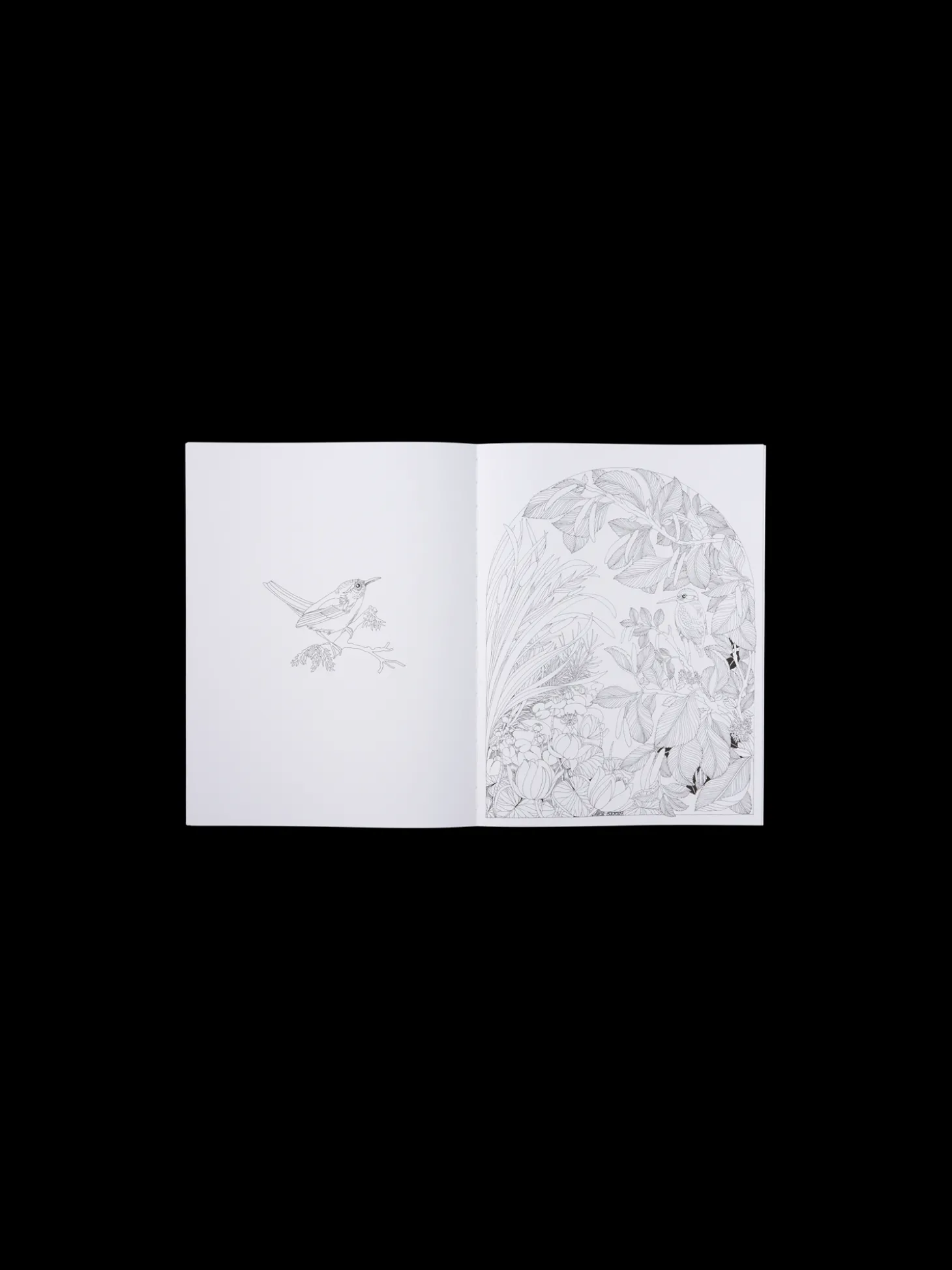 Beautiful Planet Colouring Book