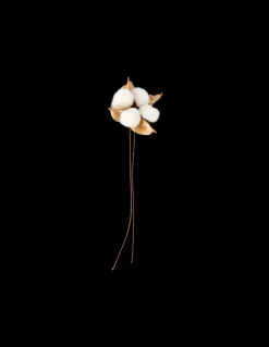 Bomuldsblomst
