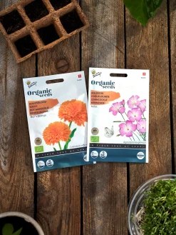 Buzzy® økologiske Ball's Orange Morgenfruefrø