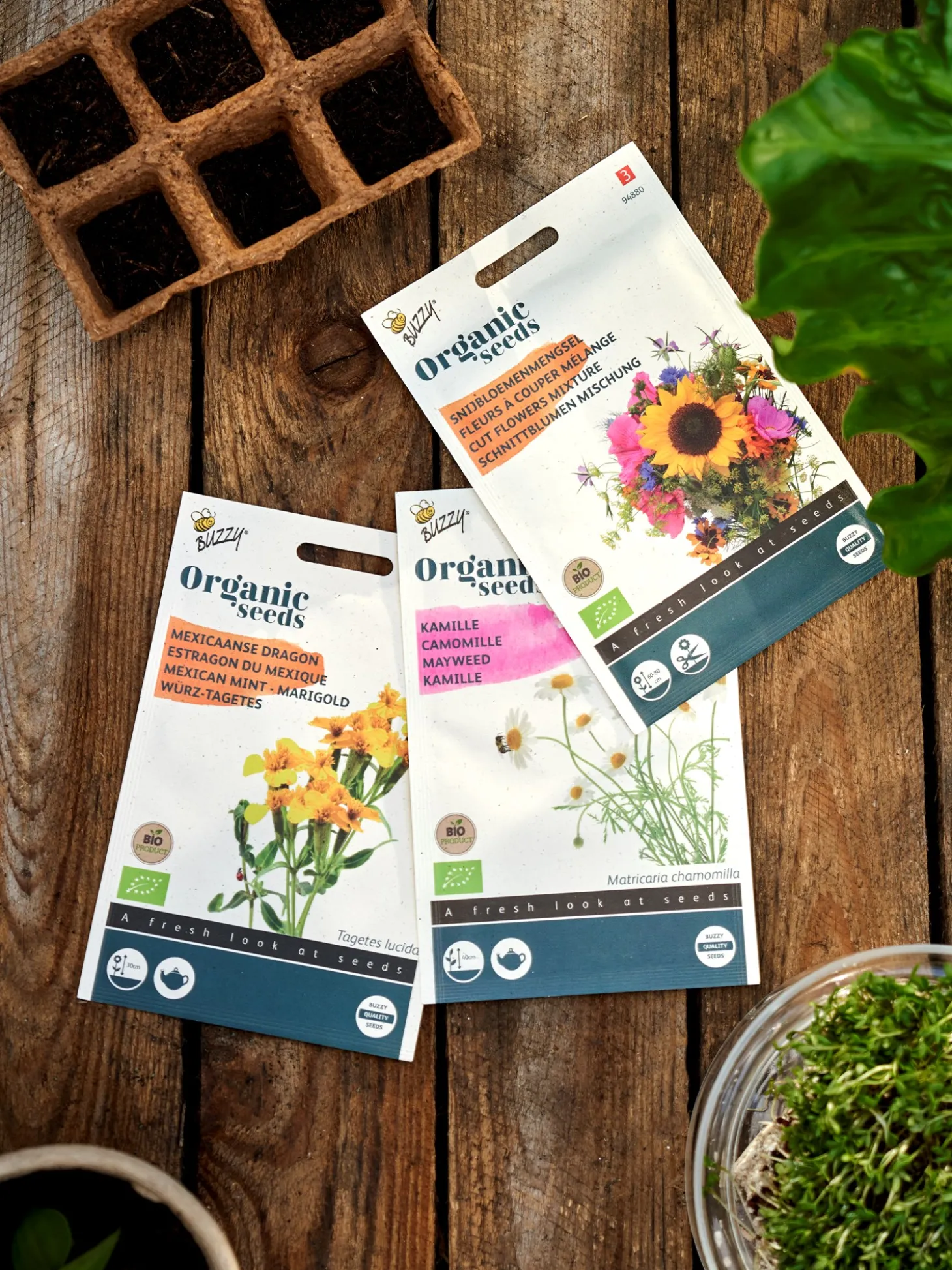 Buzzy® økologiske Lakridstagetes-frø