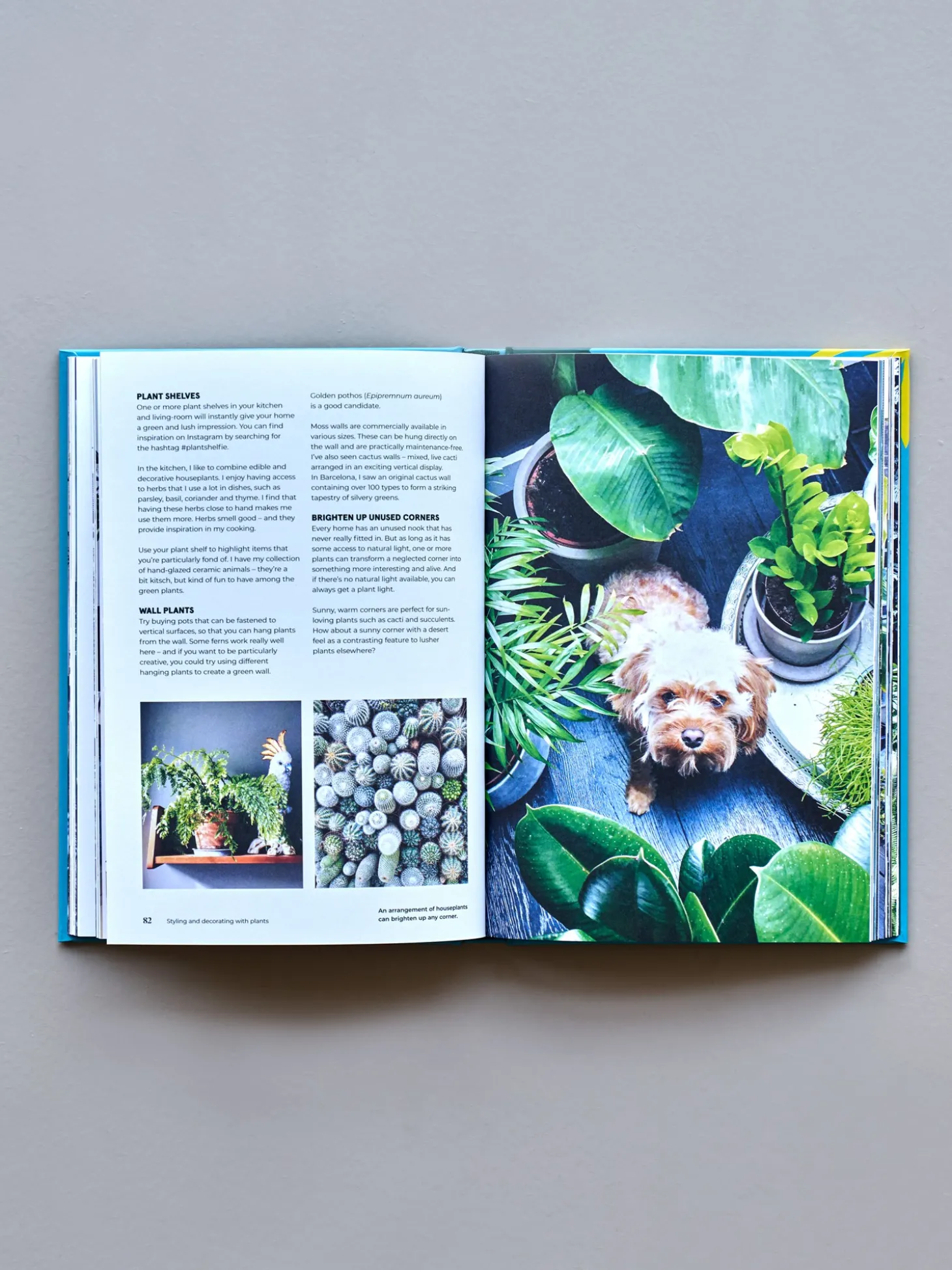 Green Home - The Joy Of Living With Plants