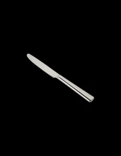Kniv Med Blank Overflade