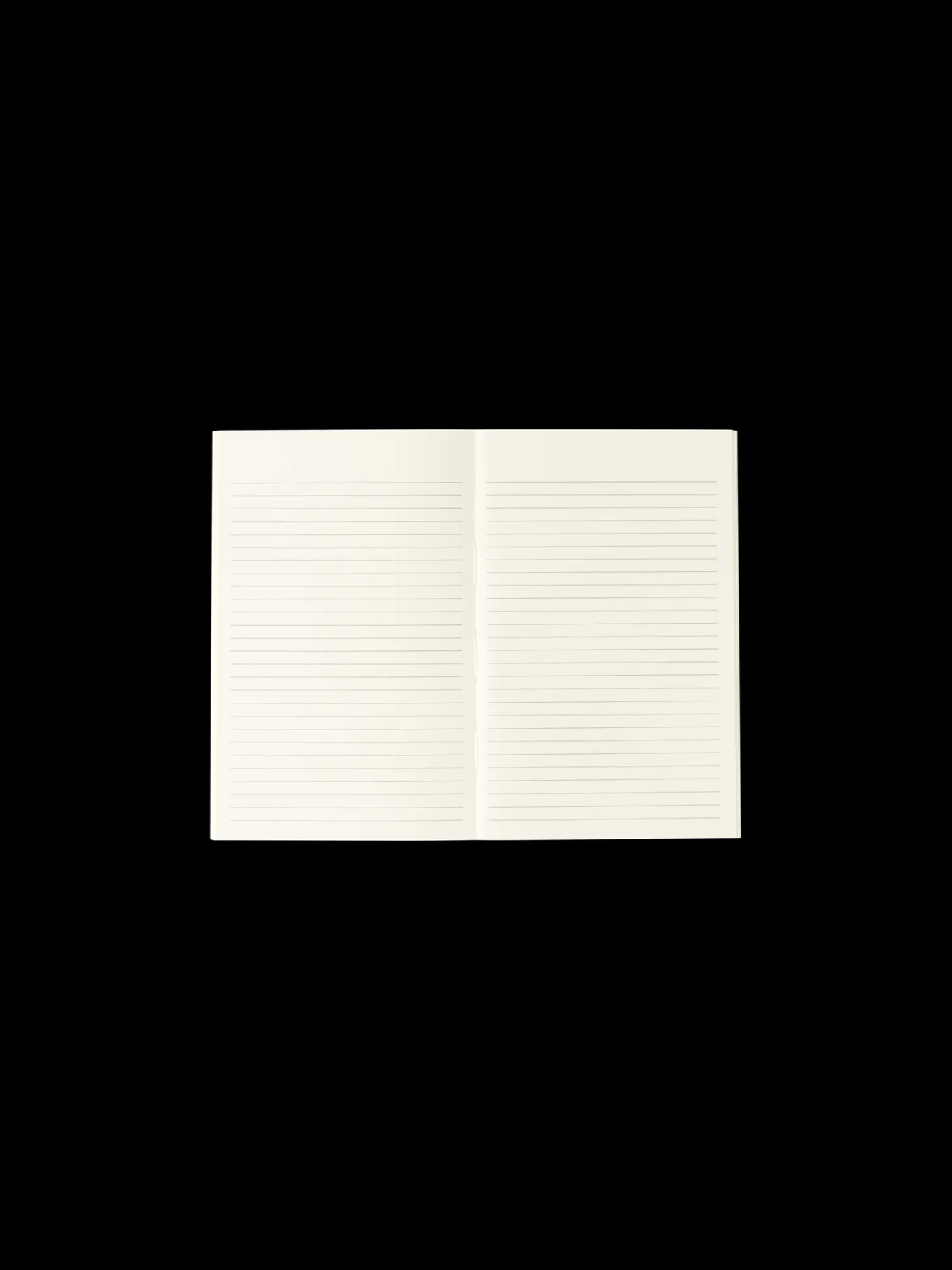 Notesbog 17 X 11
