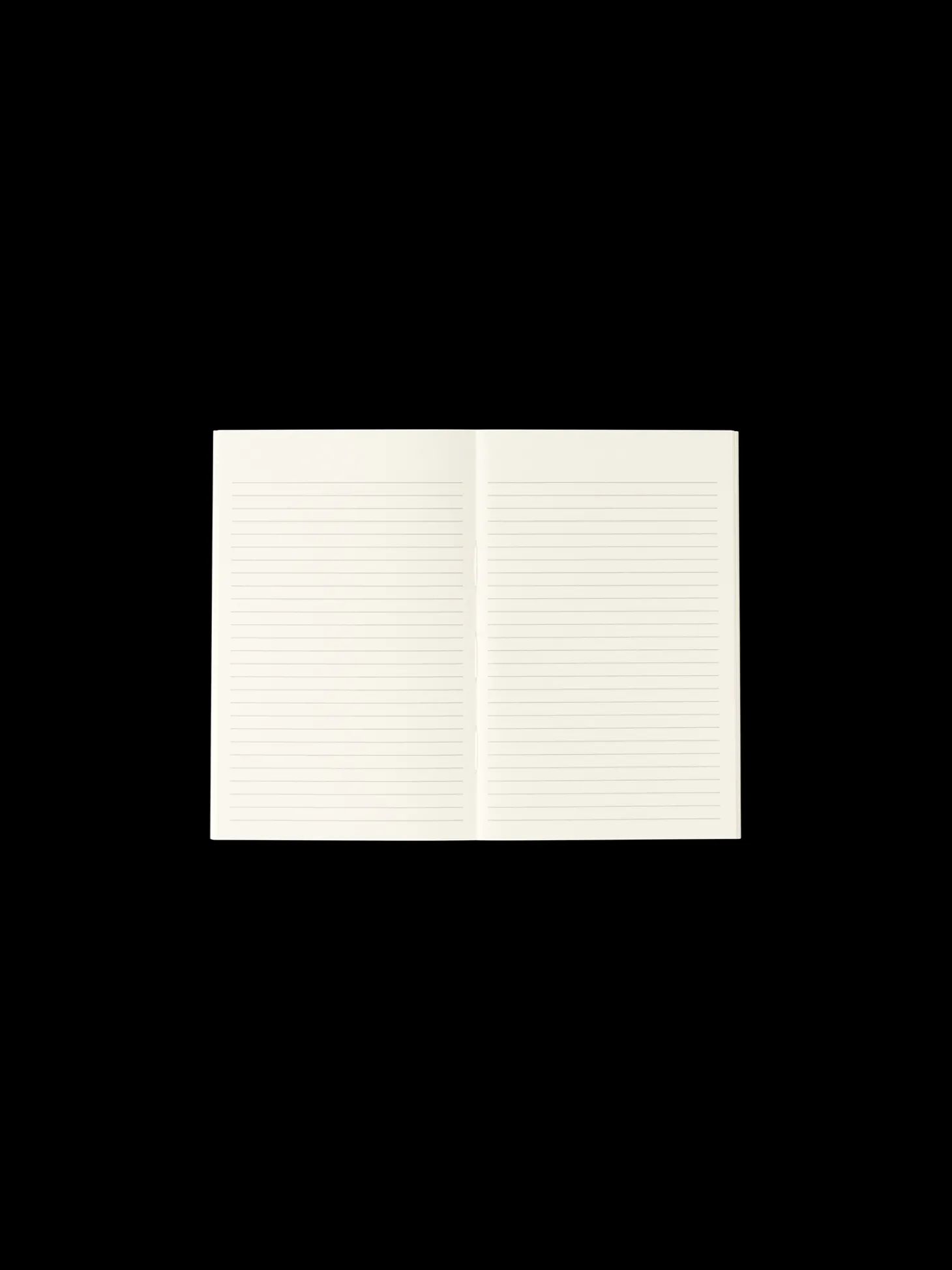 Notesbog 17 X 11