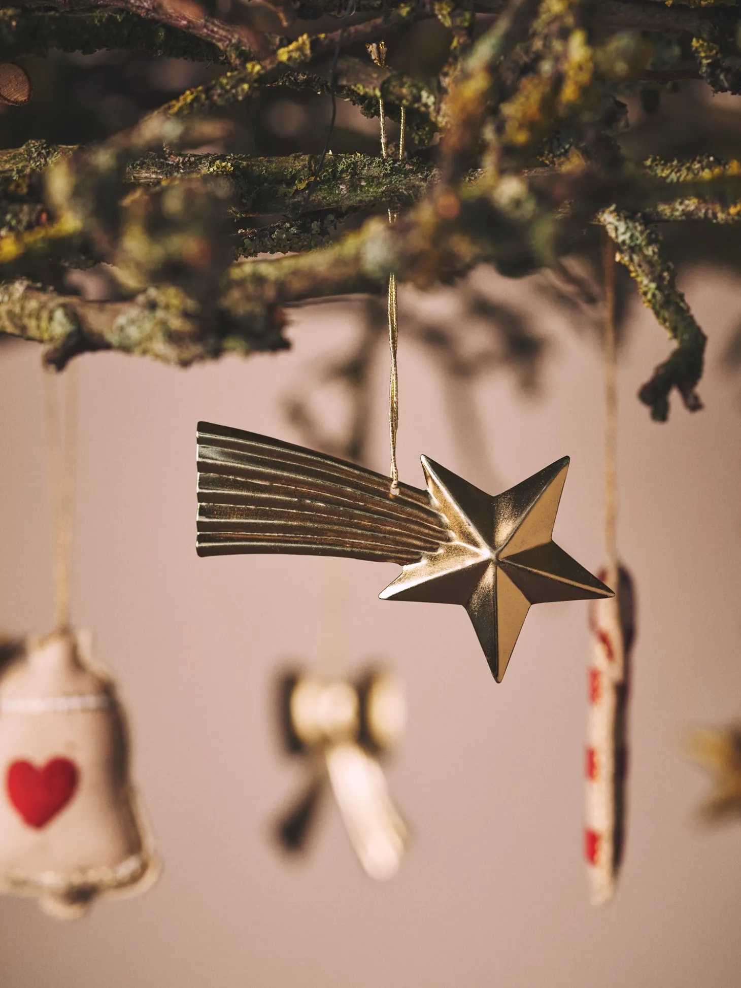 Ornament Med Stjerneskud