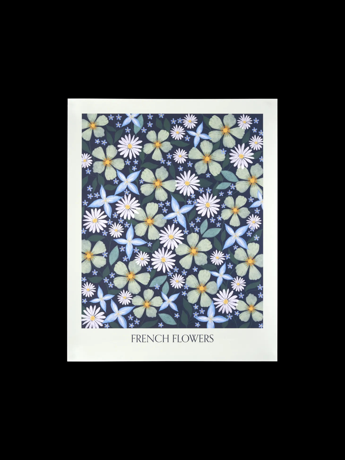 Plakat 40 X 50