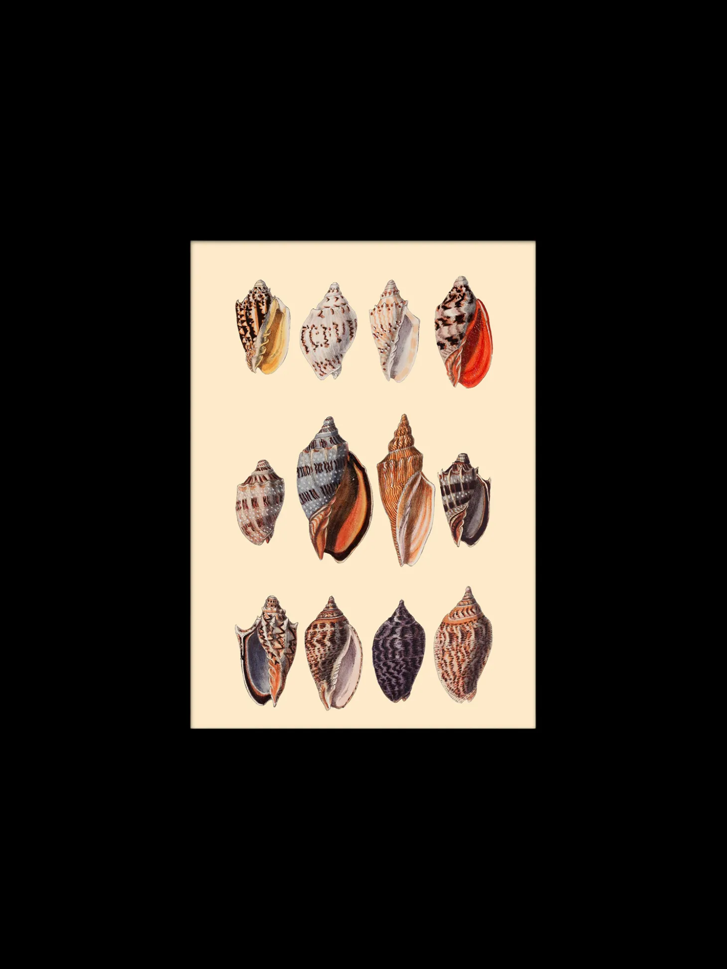 Plakat 15 X 21