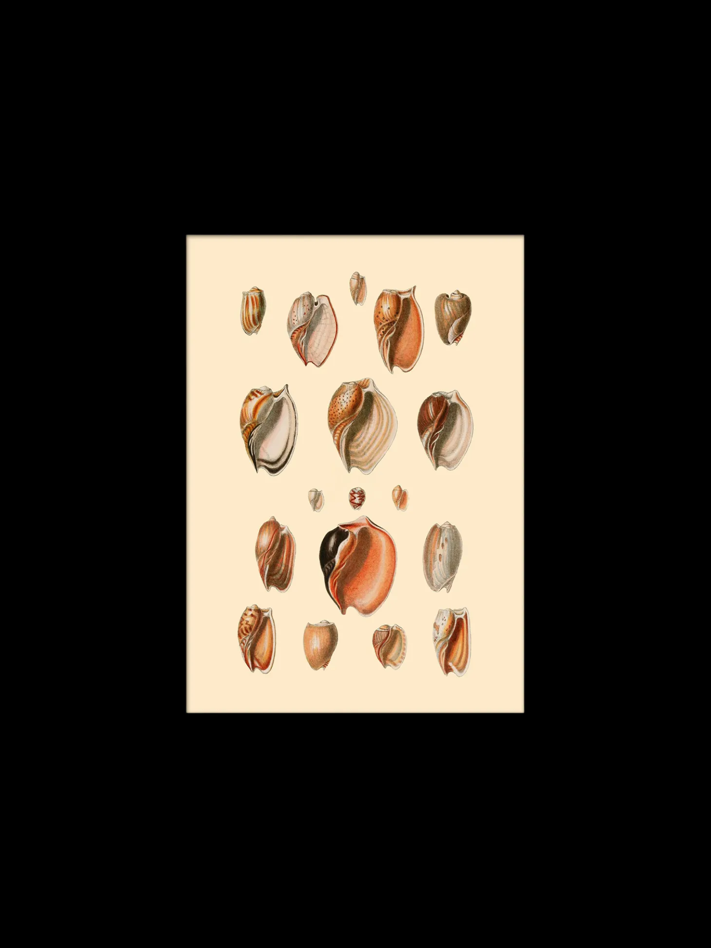 Plakat 15 X 21