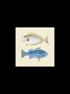 Plakat 24 X 24