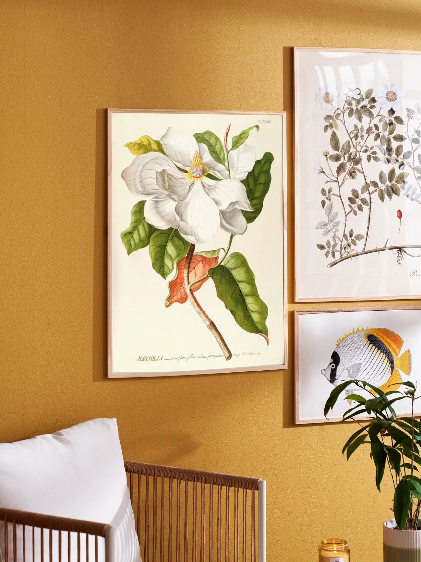 Plakat 50 X 70