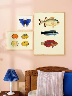 Plakat 50 X 70
