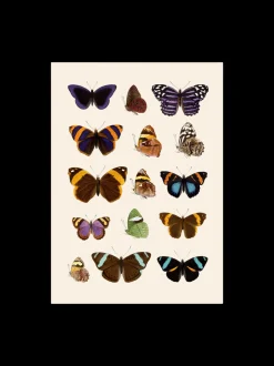 Plakat 50 X 70