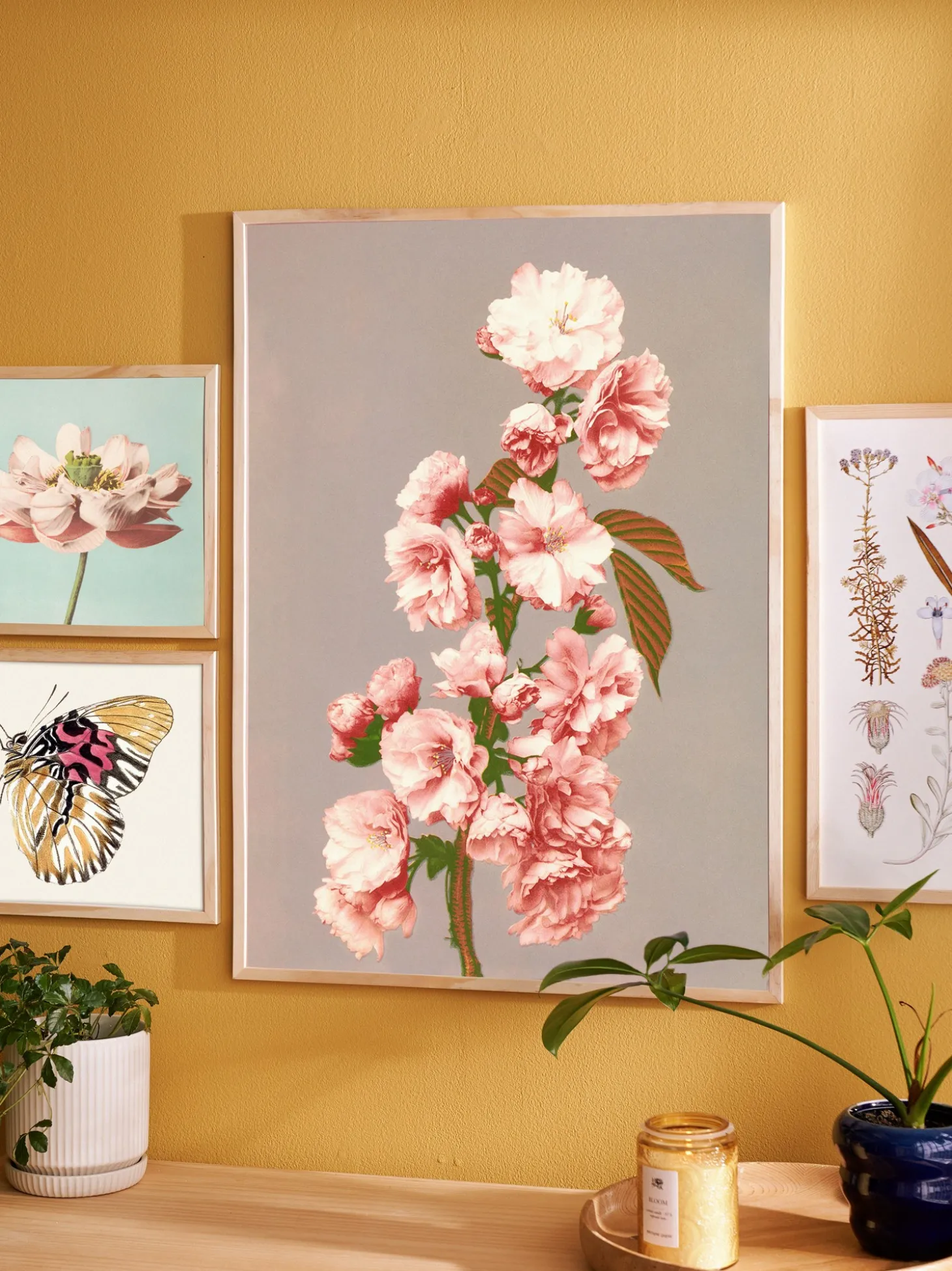 Plakat 50 X 70