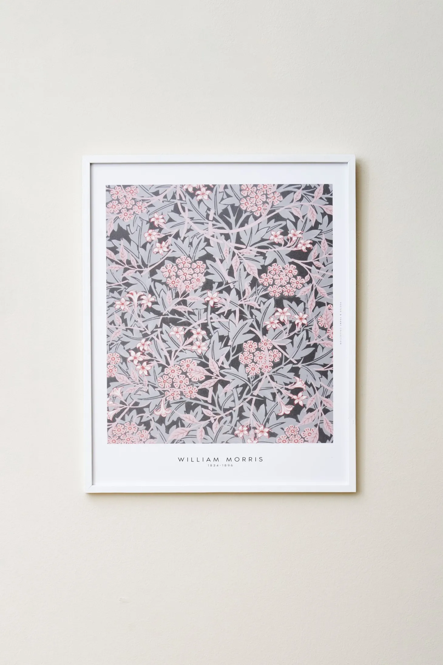 Plakat Dust Rose 40 X 50