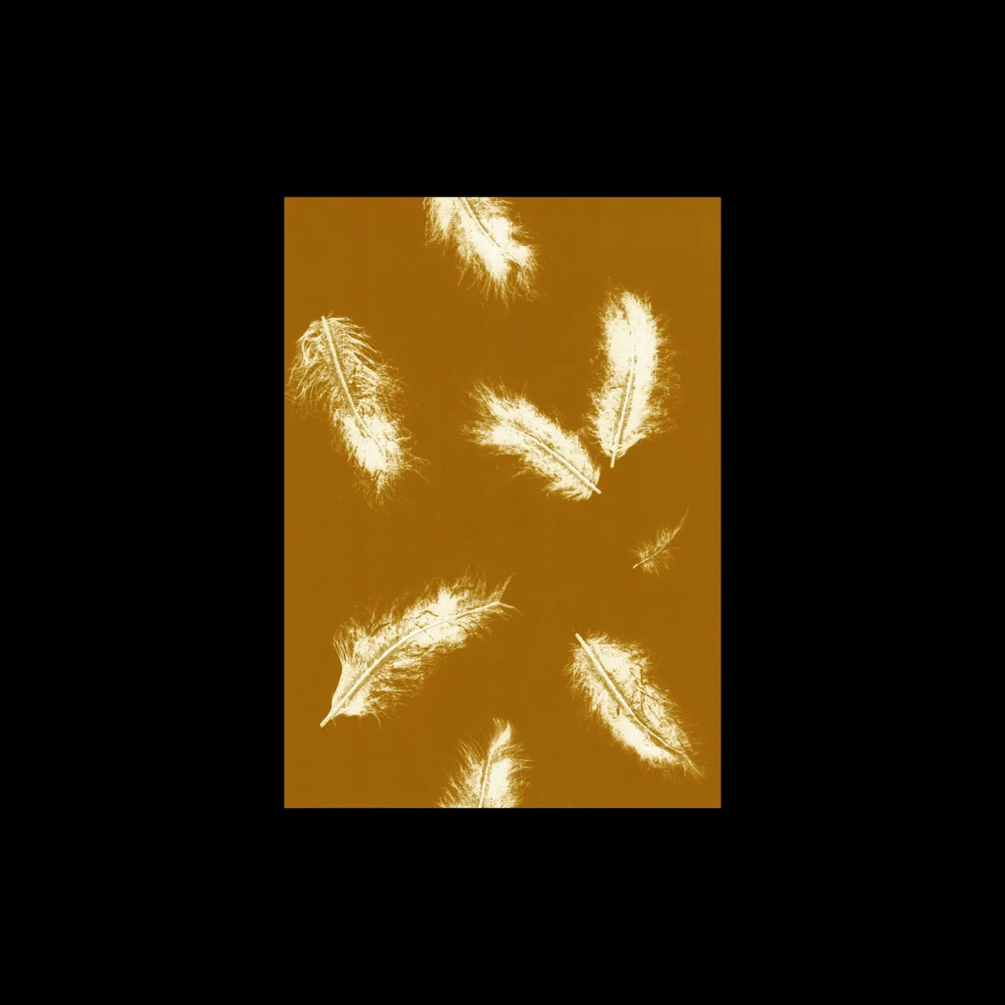 Plakat Feather Dark Mustard 40 X 50