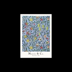 Plakat Four Fruits 50 X 70