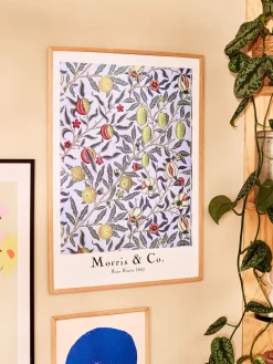 Plakat Four Fruits 50 X 70