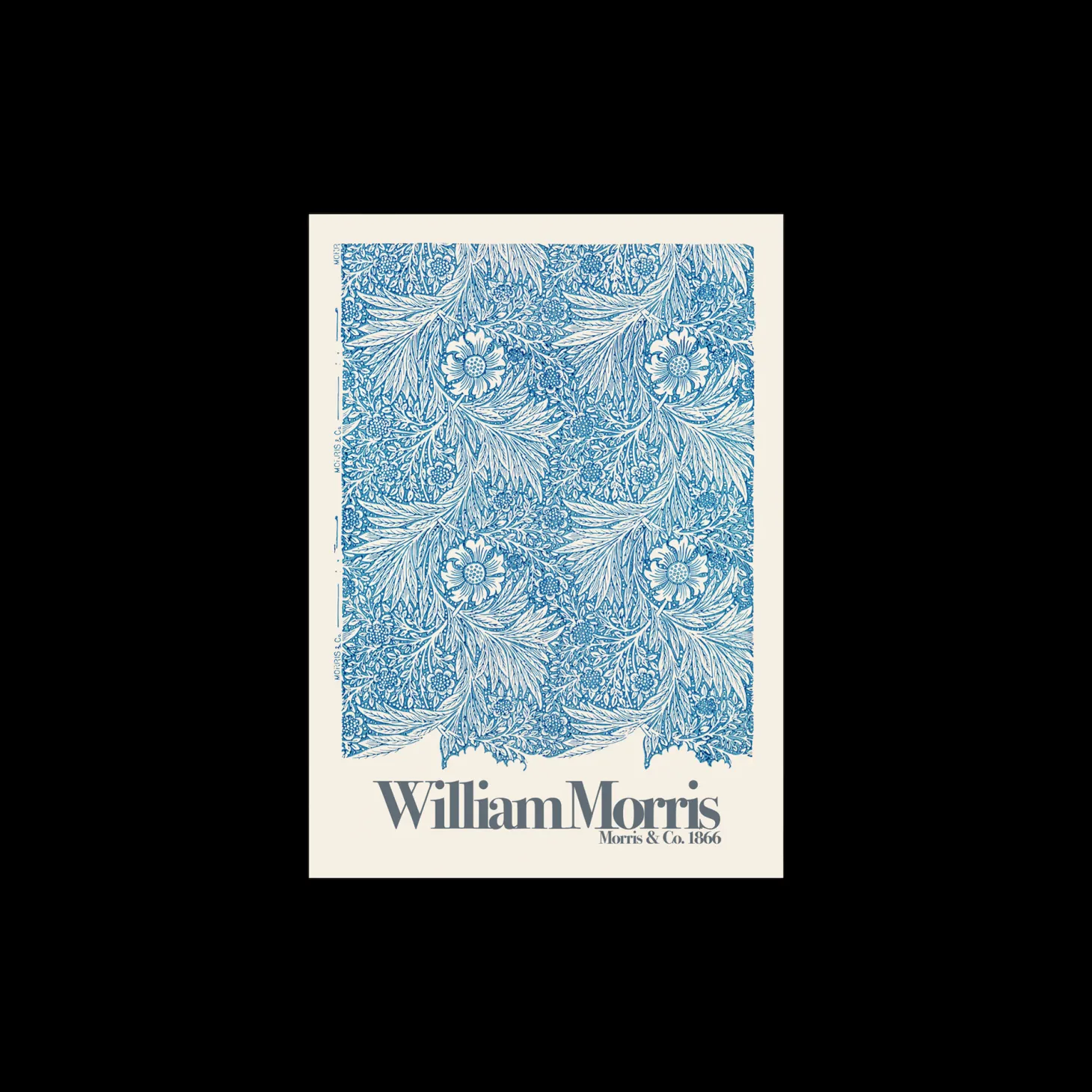 Plakat Marigold 50 X 70