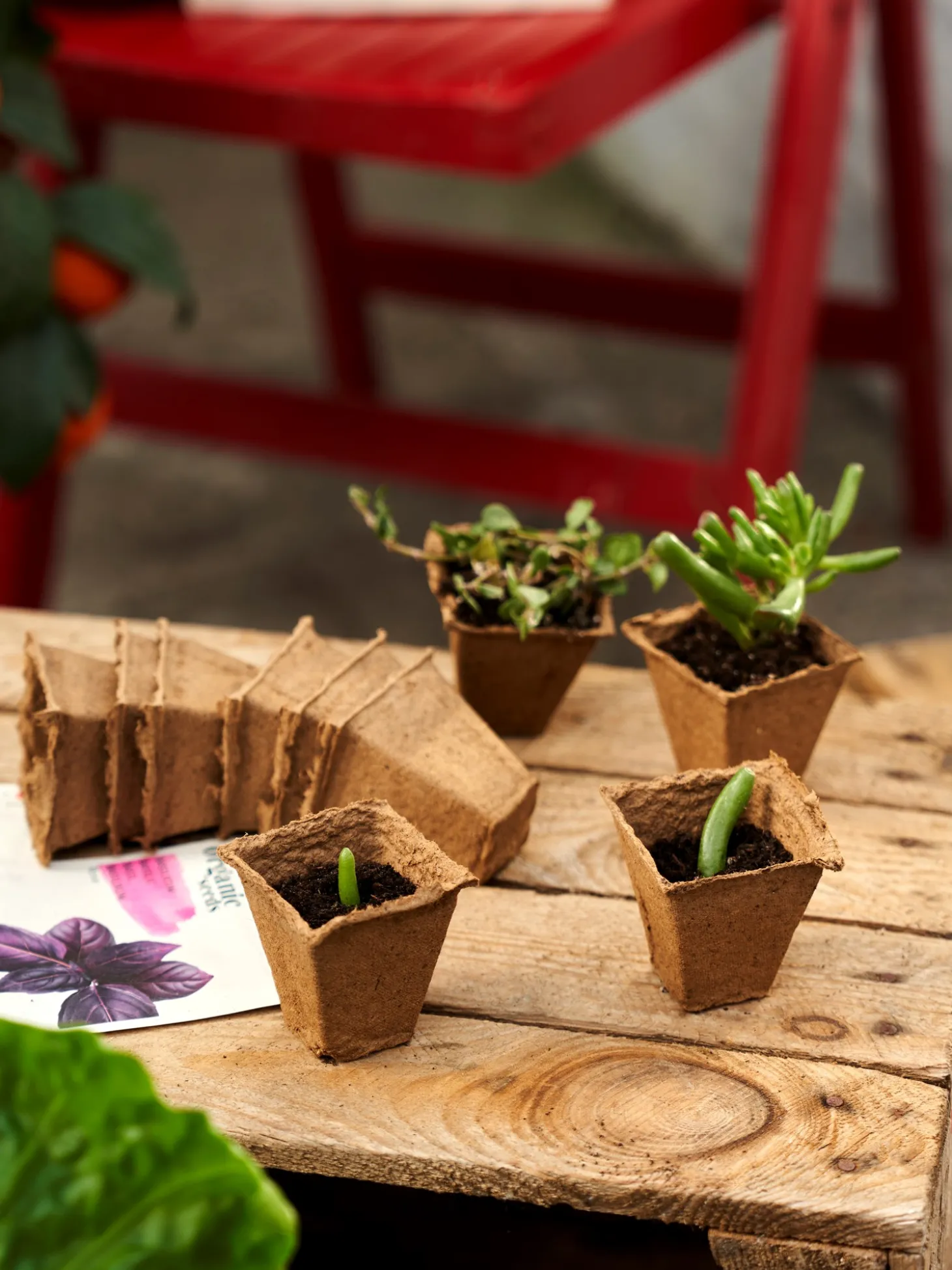 SOGO Plantepotter