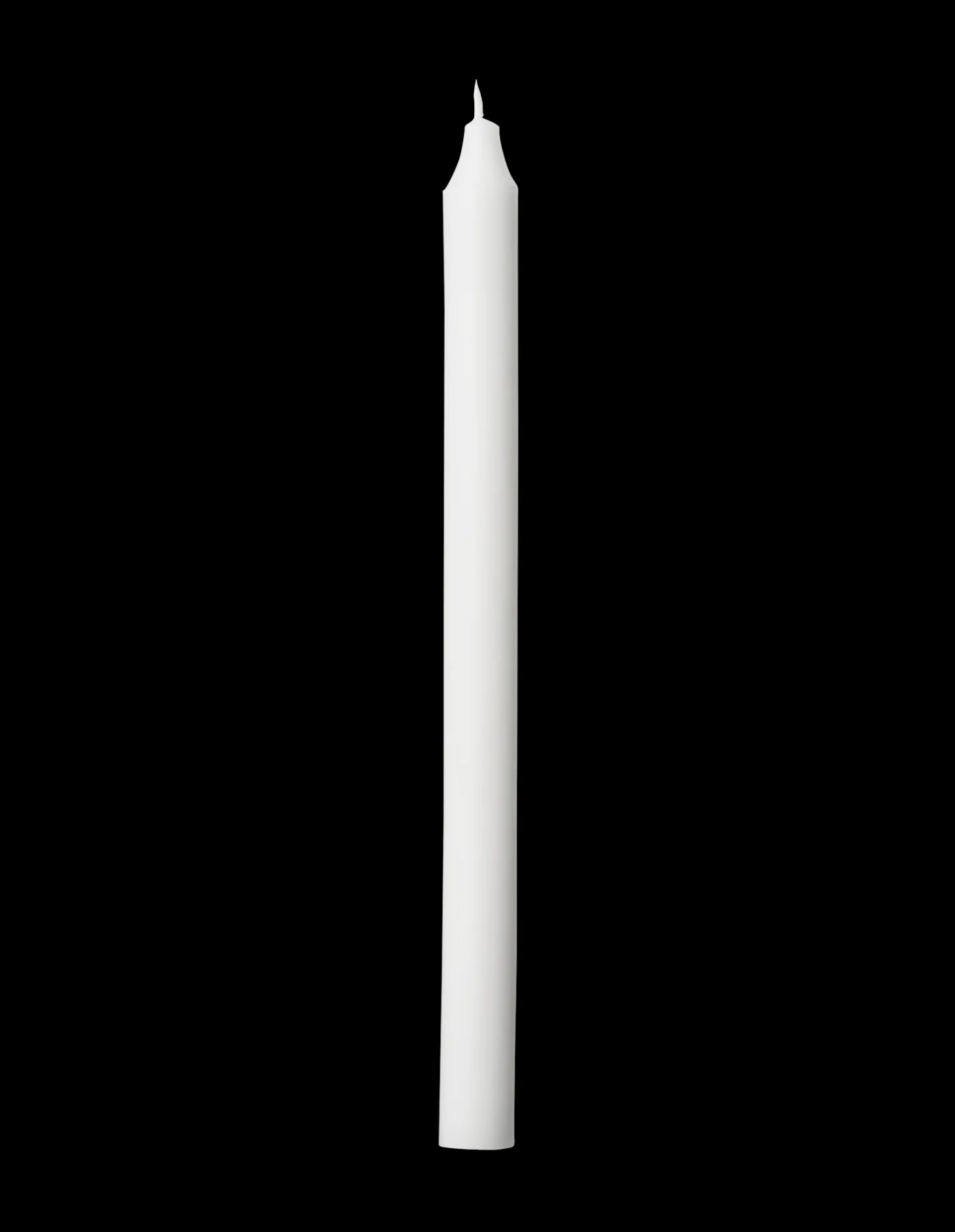 Stagelys 29 Cm