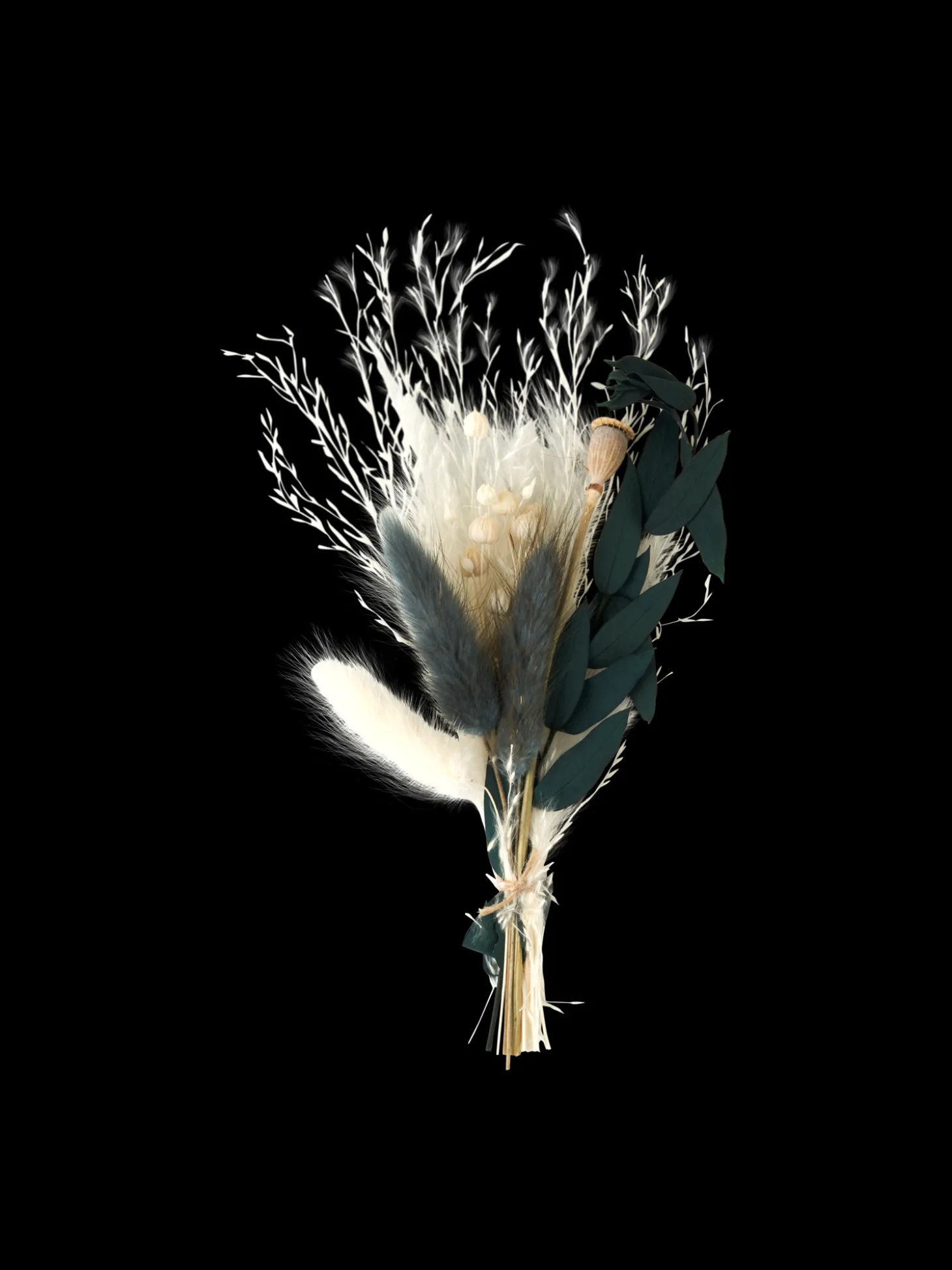 Tørrede Blomster Til DIY
