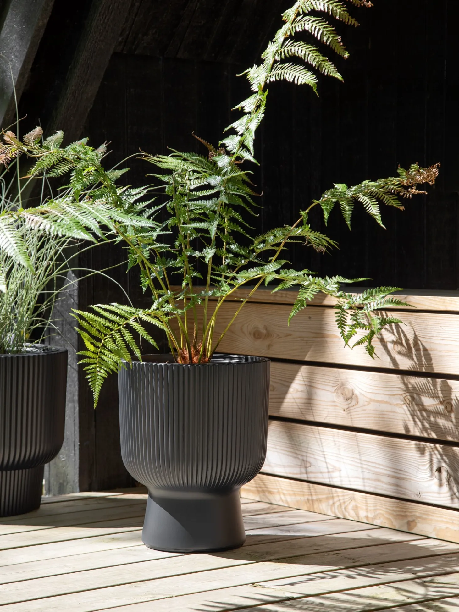 Urtepotte Milly Ø29,8 Cm