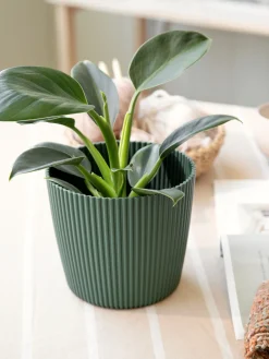 Urtepotte Milly Ø16,9 Cm